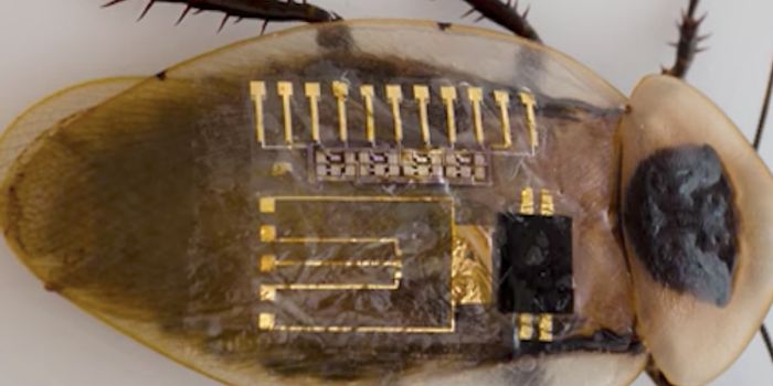 Artificial Nerves May Transform Prosthetics