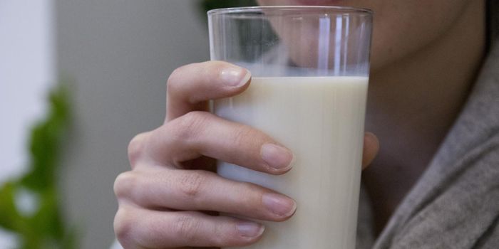 Cows Need Vitamin A to Reduce Cow's Milk Allergies