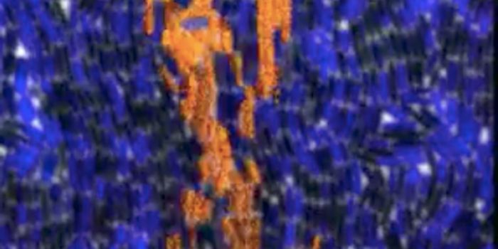 How Microbes Communicate Over Long Distances