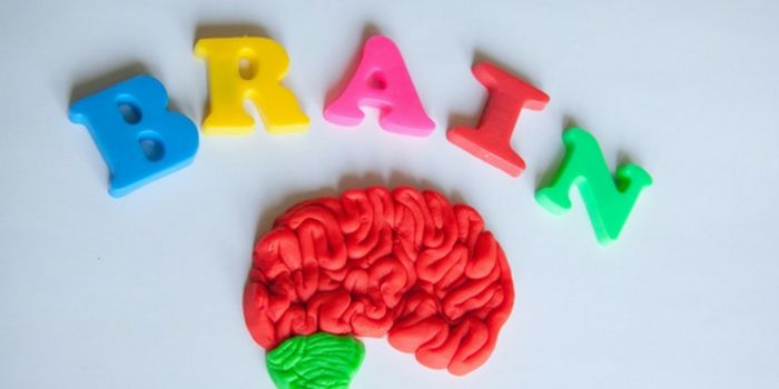 A Brain Collection for Belgium