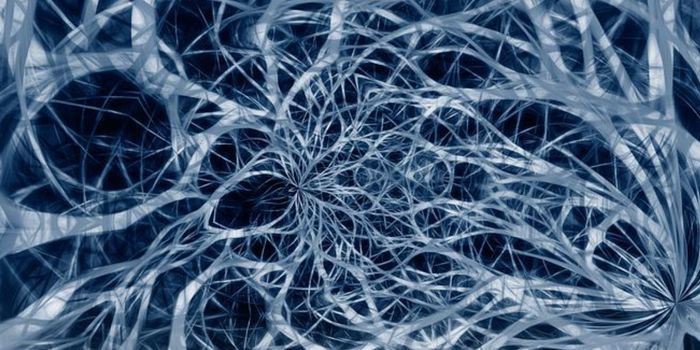 Disrupted Waste Clearance in the Brain may Cause Neurodegeneration