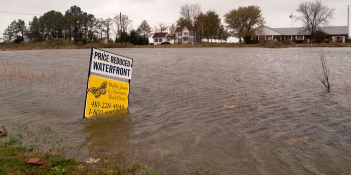 When will sea level rise make you move?