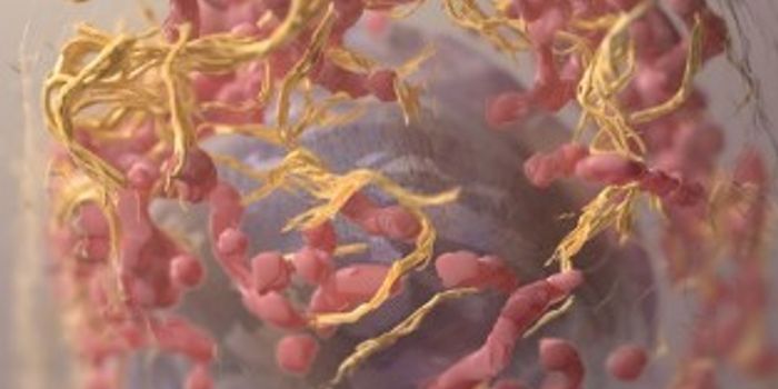 New Family of Drugs May Treat Incurable Skin Cancers, Study Shows