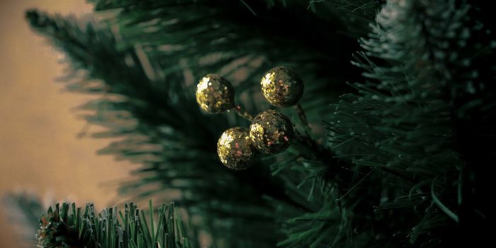 What is Christmas Tree Syndrome?