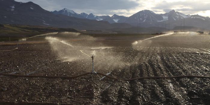 Bacteria Can Clean Diesel-Soaked Soil