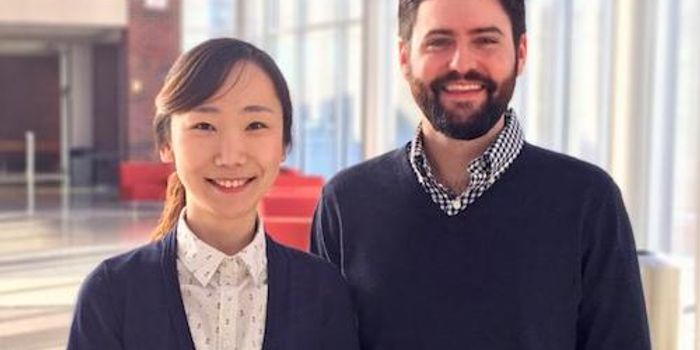 Skin Organoids Sprout Hair