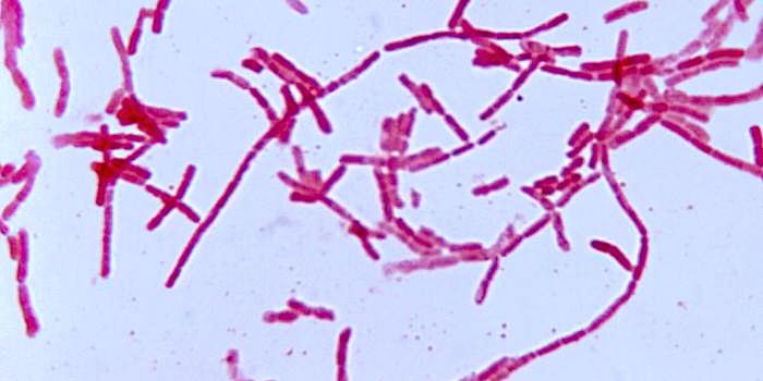 A Causal Connection Between C-Section Births & Food Allergies