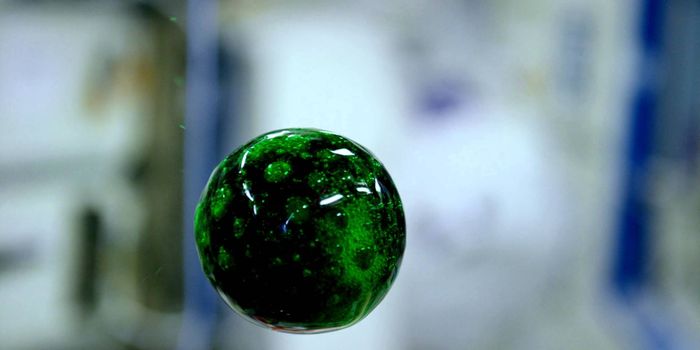 ISS Astronauts Record a Colorful Liquid Ball With a 4K Camera