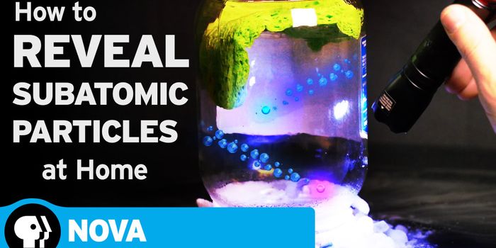 Matter, Matter, Everywhere