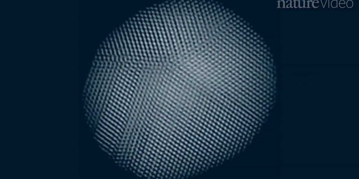 Have you ever seen an atom? 