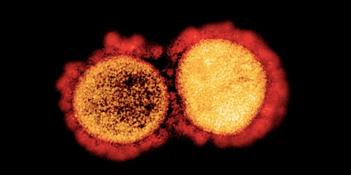 Second COVID-19 Vaccine Enters Human Trials