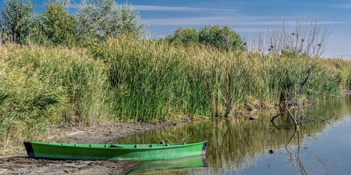 Hemorrhagic Fevers Move to Europe