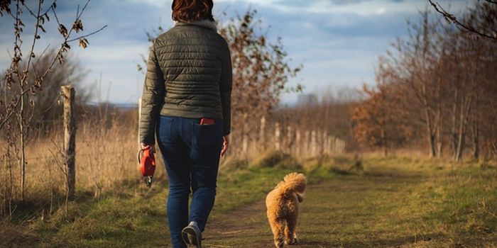 Regular Walking Relieves Back Pain