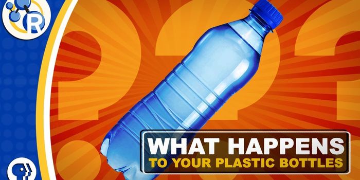 Plastics Recylcing: How Does It Work?