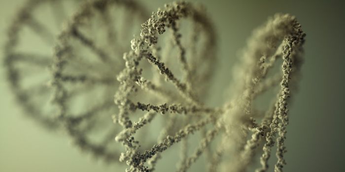 Scientists Find Genetic Markers of Lifespan