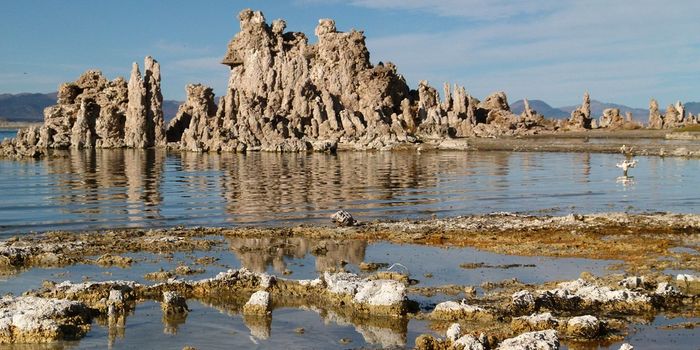 Scientists unearth new source of carbon emissions