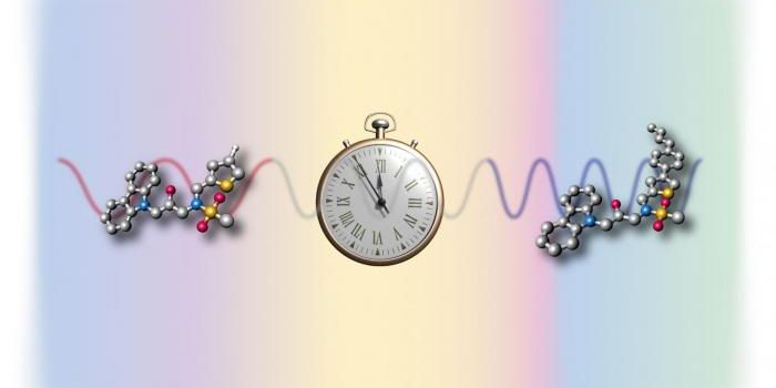 Small Molecules Reset Snooze Button