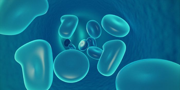 Restoring Bone Loss with Amniotic Fluid Cells