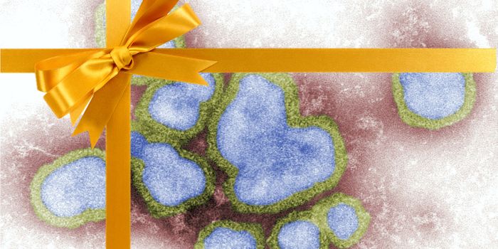 The Gift of Influenza: How DNA vaccines are presenting proteins to the immune system