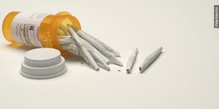 Cancer and Cannabinoids