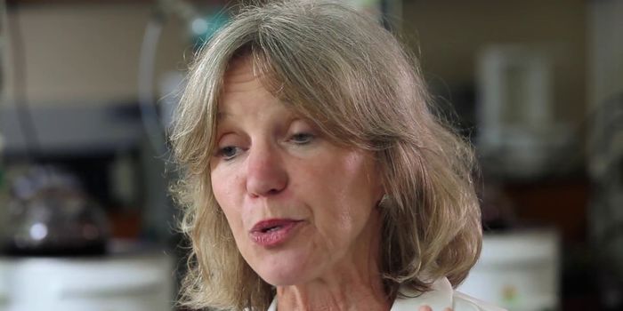 Scientists Develop Non-Allergenic Peanut Flour