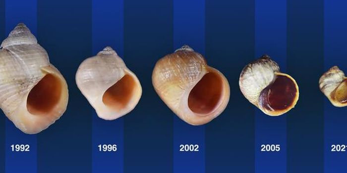 Natural Snail Evolution is Predicted & Witnessed Over 30 Years