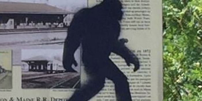 Sasquatch Blamed for Idaho-Based Deer Collision