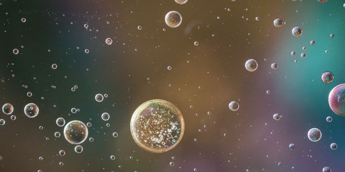 A Close Link Between Gut Microbes & Oxytocin is Revealed