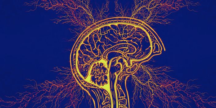 Astrocytes are Linked to Obsessive-Complusive Disorder