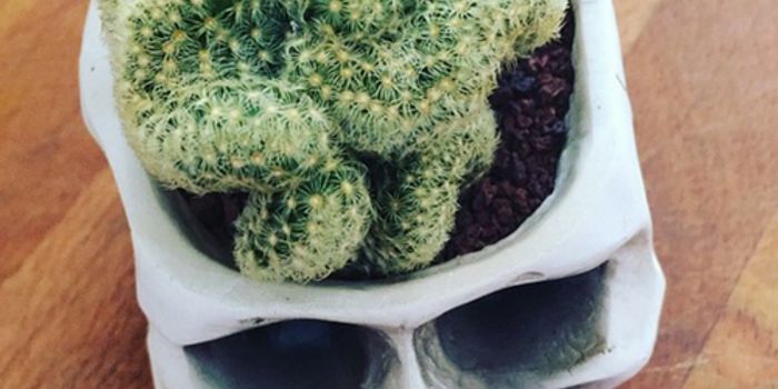 Magnetic Stimulation and Memory Formation