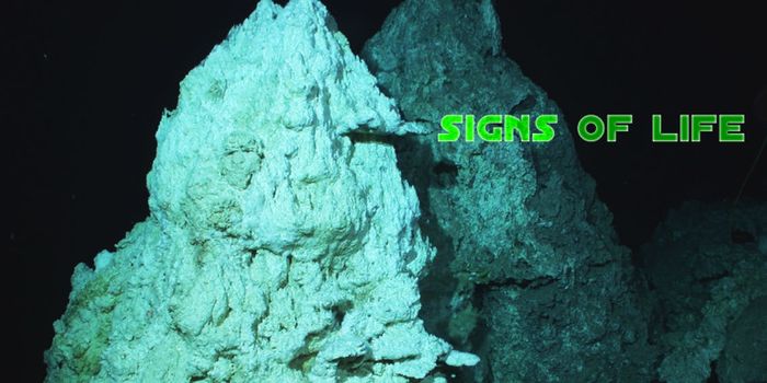 Cells of microbes found in mantle rock from Lost City