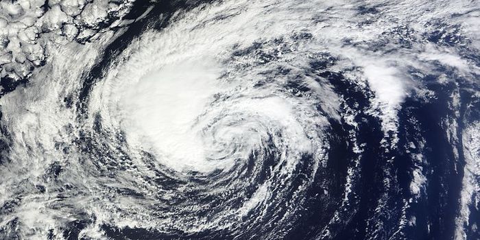 Video: Can Brightening Ocean Clouds Reduce Dangerous Hurricanes?