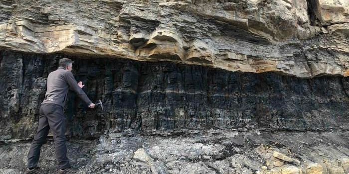 Critical Mineral Deposits and Coal: An Unexpected Co-Location