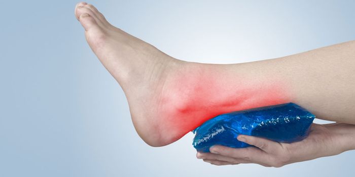 Tendon, Heal Thyself!