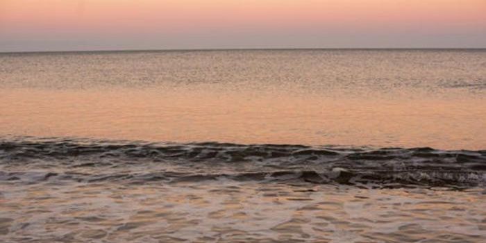 Coasts Acidifying Faster Than Predicted