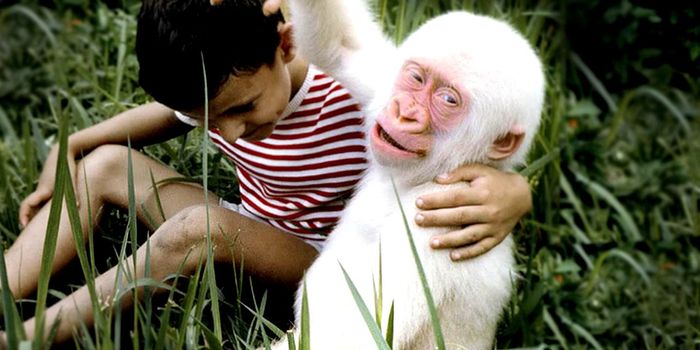 Albino Animals: Standing out from the crowd can be dangerous