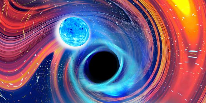 A Black Hole-Neutron Star Merger Makes Waves