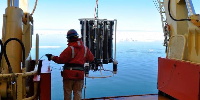 When the Earth Shakes, the Ocean Blooms