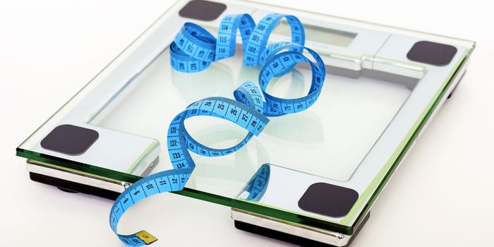 Dieting Makes Hunger Synapses Louder