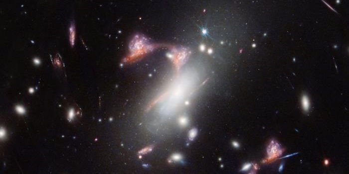 Galaxy Interactions and Cosmic Illusions: Webb's Stunning New Images