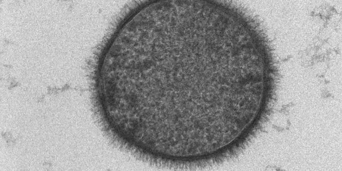 You Think Bacteria are "Loners"? Think Again.