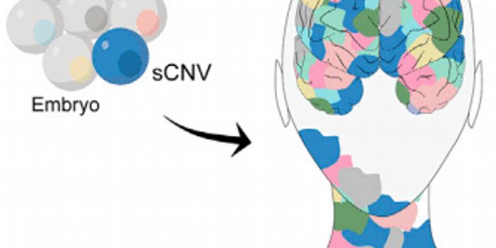 Unraveling Schizophrenia: Genetic Study Reveals New Insights and Non-Inherited Mutations