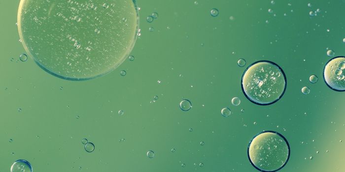 Discovery Changes What We Knew About B Cell Activation