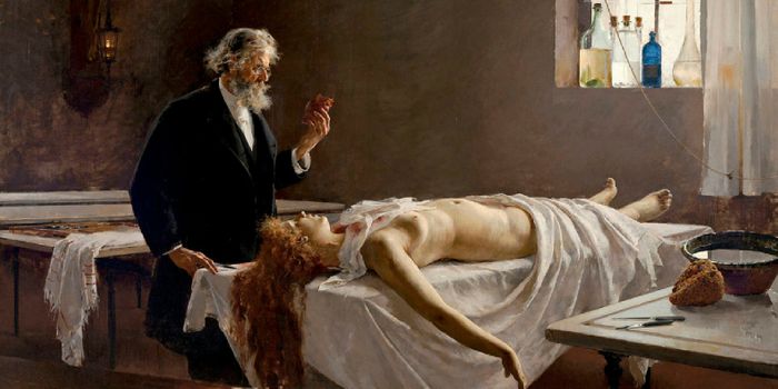 Cause of Death Revealed Through CT Scan