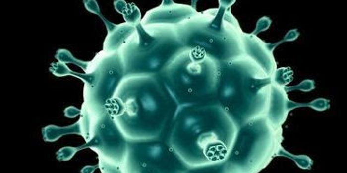 Interfering with Interferon