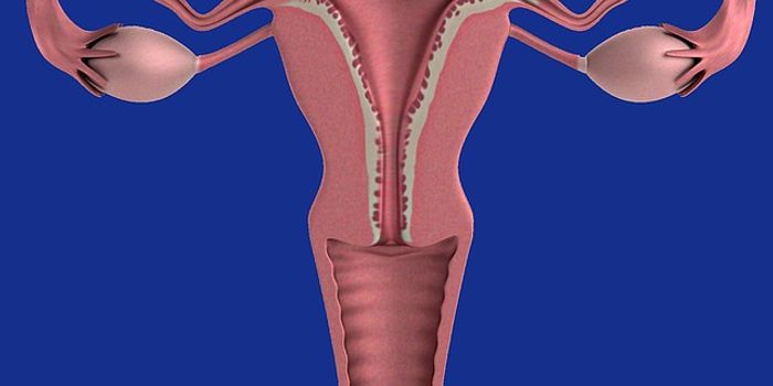 Adenomyosis and Mifeprostone - what is the correlation?
