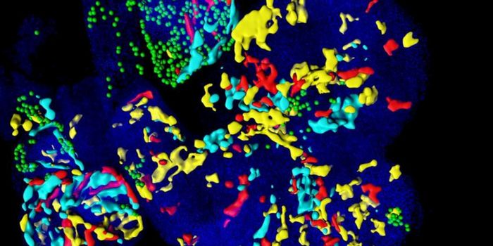 Mesp1 Gene Activity Linked to Congenital Heart Defects