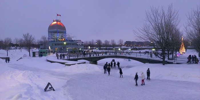 How much plastic is there in the snow?