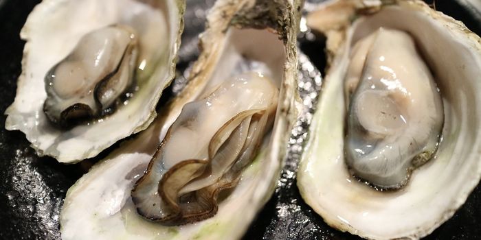 How do nanoplastics affect oysters?