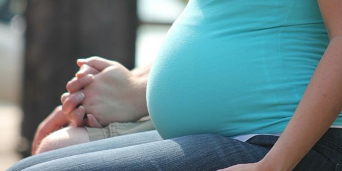 Stress Plus Pregnancy: Could Autism be the Result?